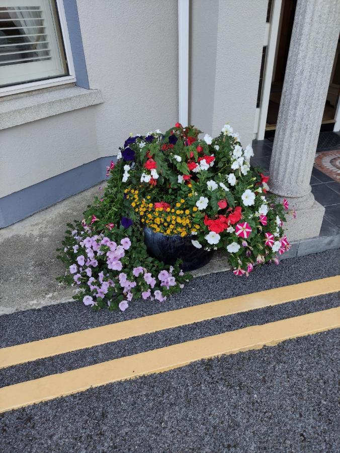 Ma Dwyer'S Guest Accommodation Navan Exterior foto